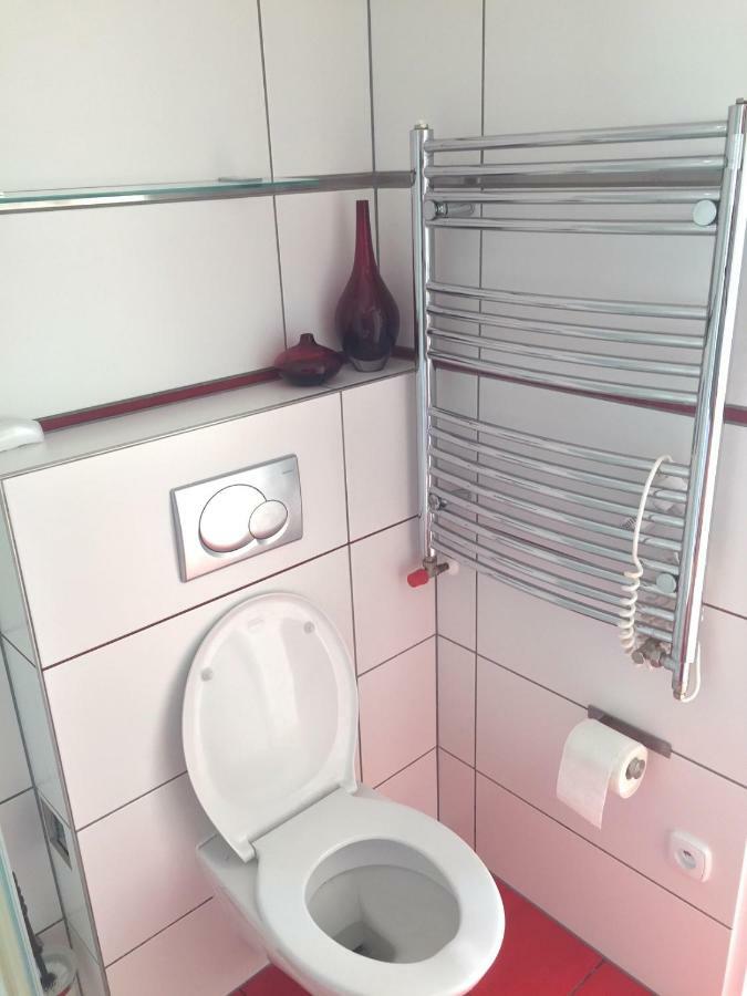 Krasny Apartman U Lesa, Trolejbus Do Centra A Bvv, Parkovani Zdarma Brno Exterior photo